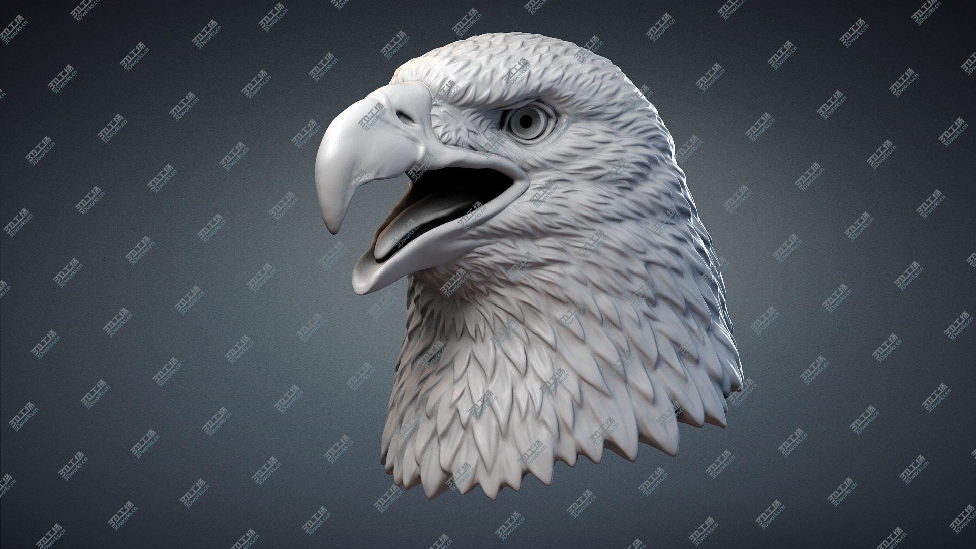 images/goods_img/2021040163/3D Bald Eagle Head Sculpture model/2.jpg